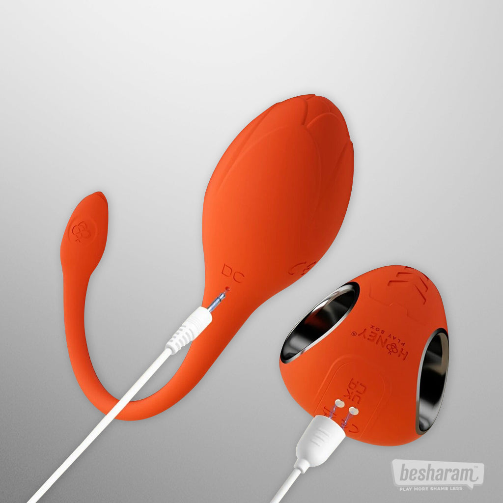 Lili App Controlled Egg Vibrator-IMbesharam.com