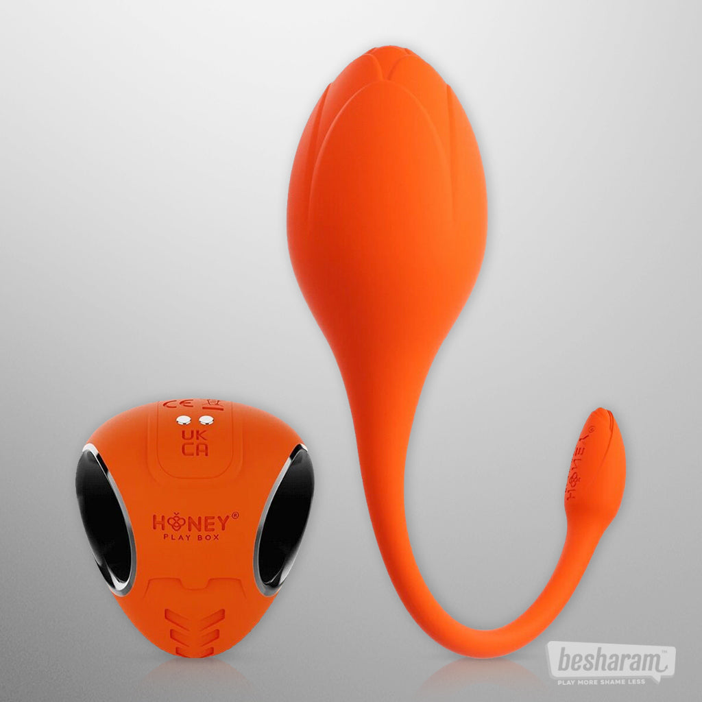 Lili App Controlled Egg Vibrator-IMbesharam.com