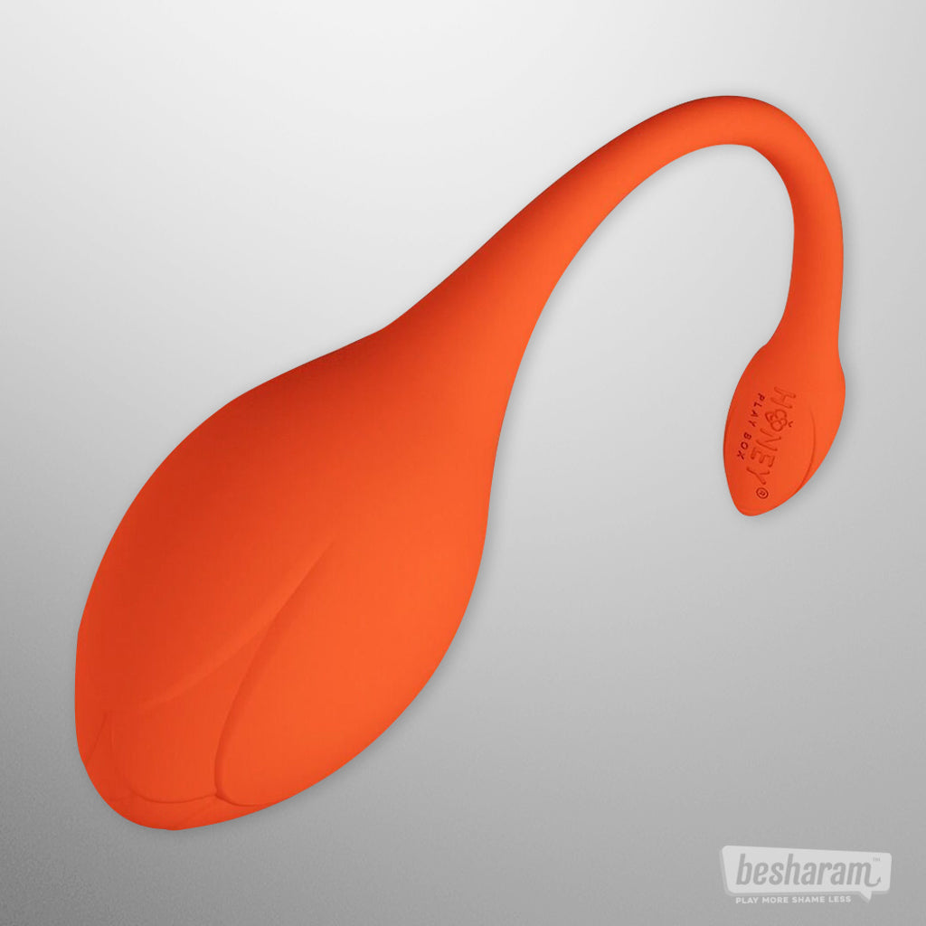 Lili App Controlled Egg Vibrator-IMbesharam.com