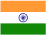 INDIA BUSINESS ENTITY