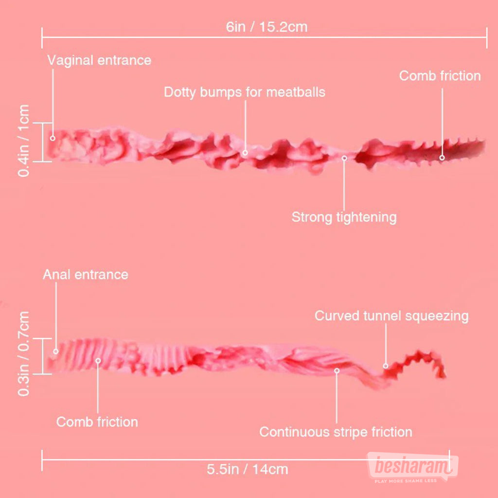 Internal tunnel texture diagram of compact torso sex doll with labeled zones