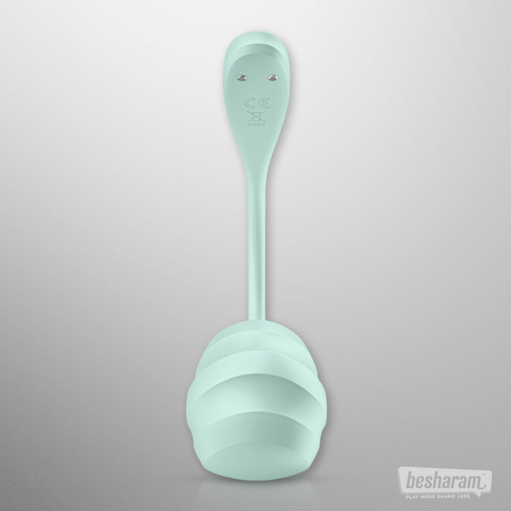 Satisfyer Smooth Petal App Controlled Vibrator-IMbesharam.com