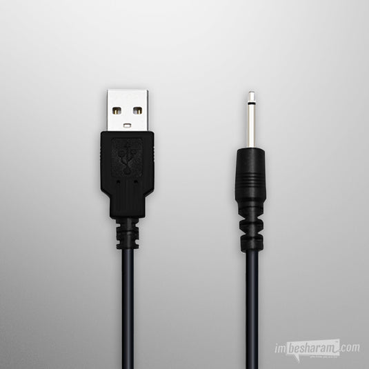 Lovense Charging Cable-IMbesharam.com