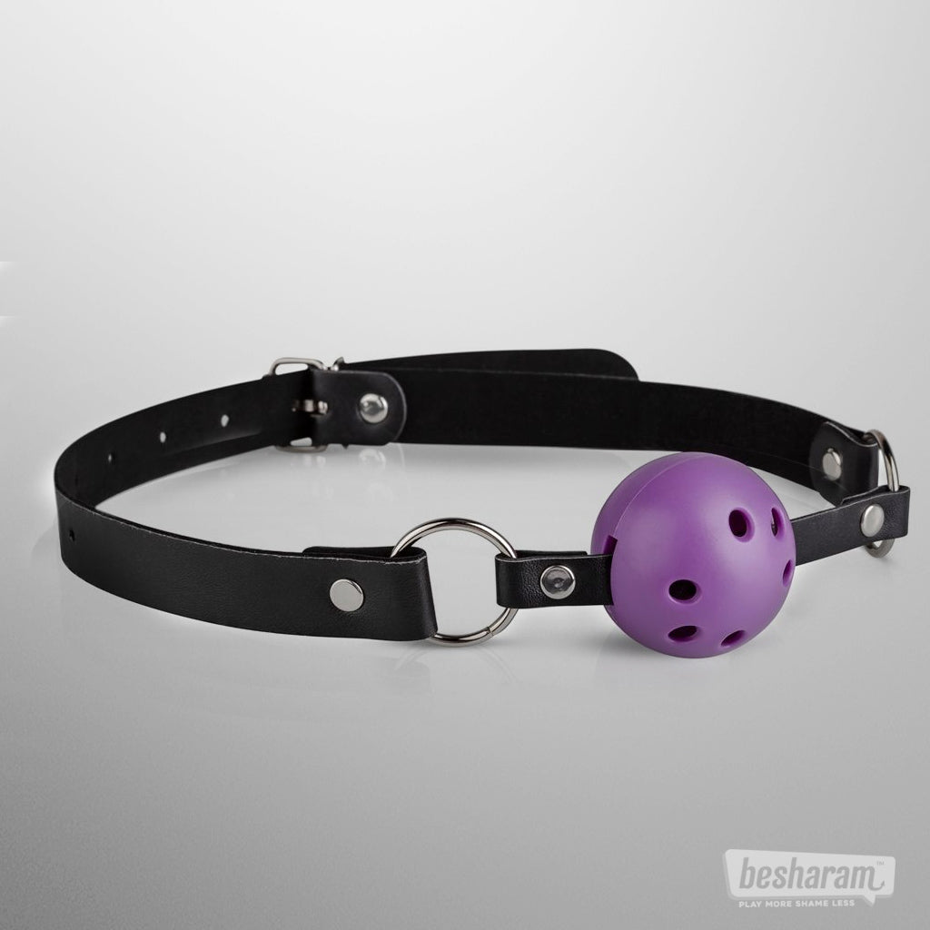 Secret Pleasure Chest Purple Apprentice BDSM Set Ball Gag