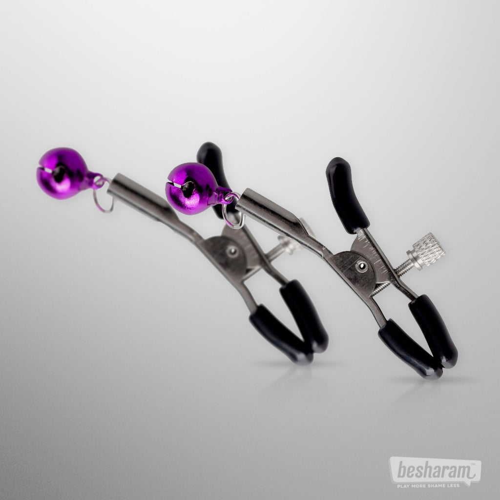 Secret Pleasure Chest Purple Apprentice BDSM Set Nipple Clamps