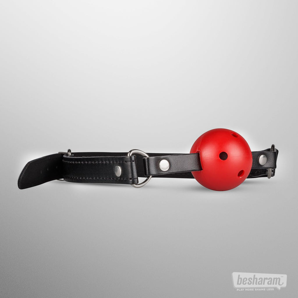 Secret Pleasure Chest Red Dragon BDSM Set Ball Gag