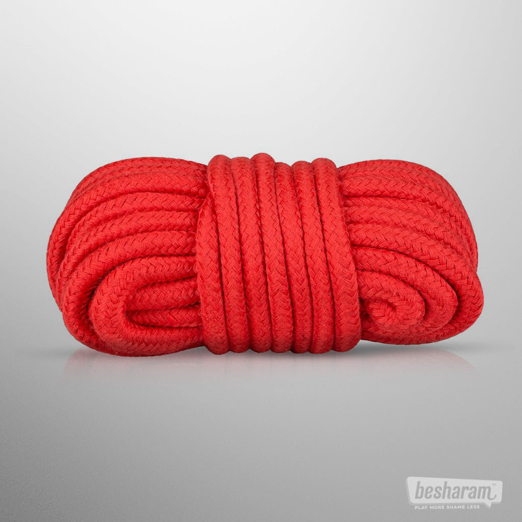 Secret Pleasure Chest Red Dragon BDSM Set Rope