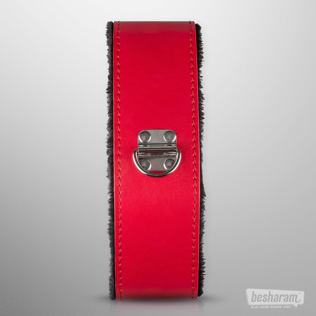 Secret Pleasure Chest Red Dragon BDSM Set Collar