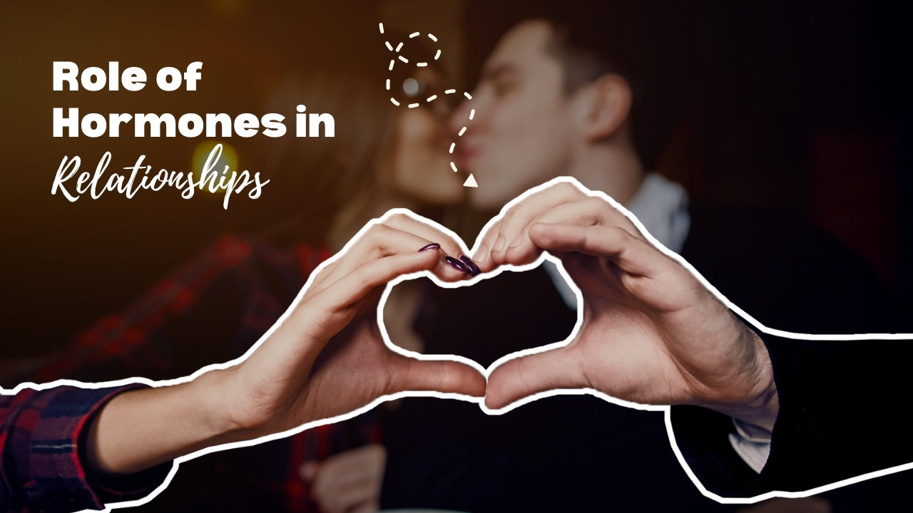 Role of Hormones in Relationships-IMbesharam.com