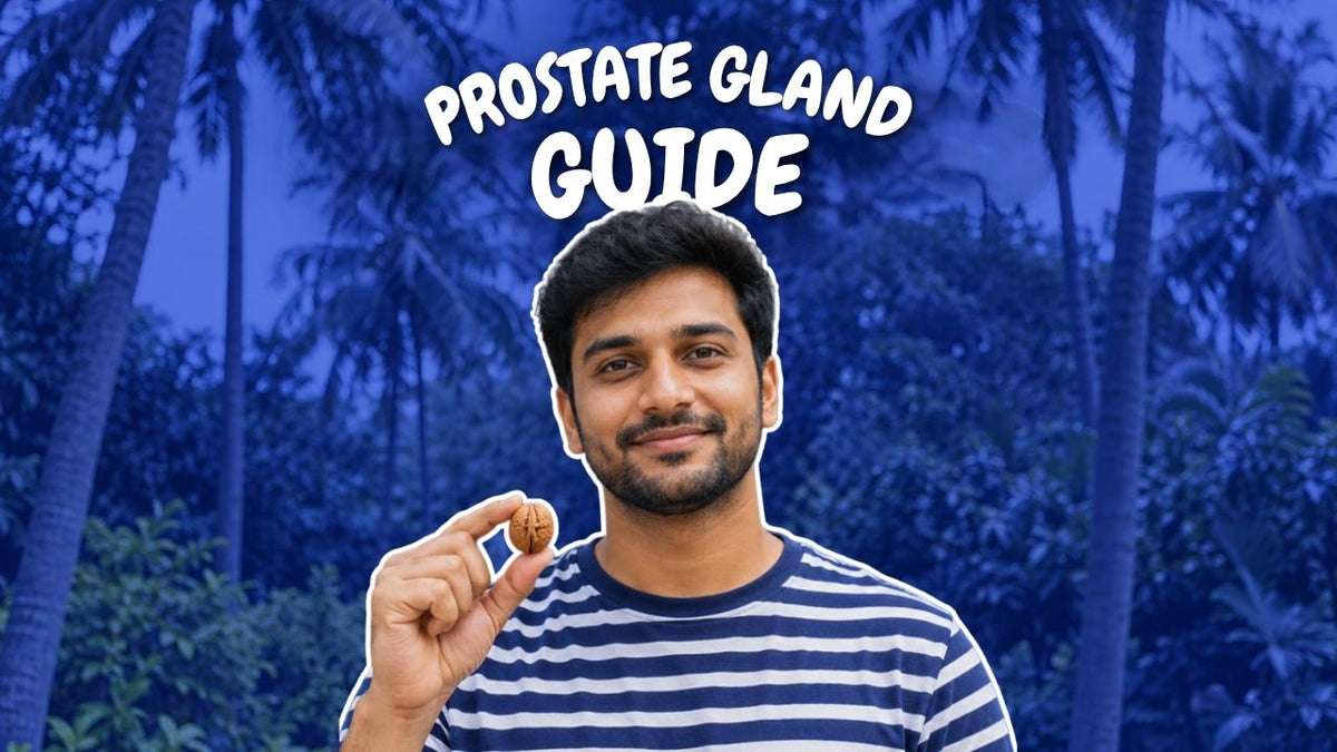 The Prostate Gland Guide