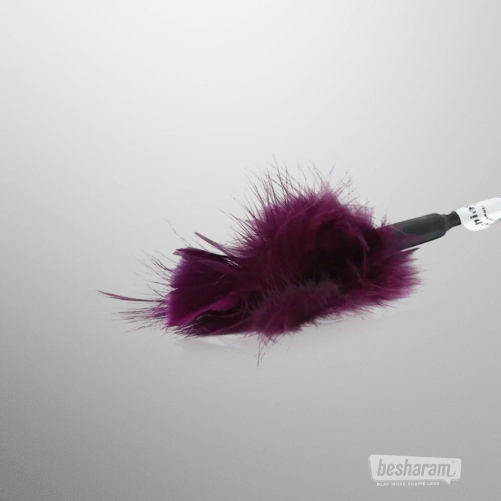 Buy Sex & Mischief Feather Tickler in India Buy Sex & Mischief Feather Tickler in India