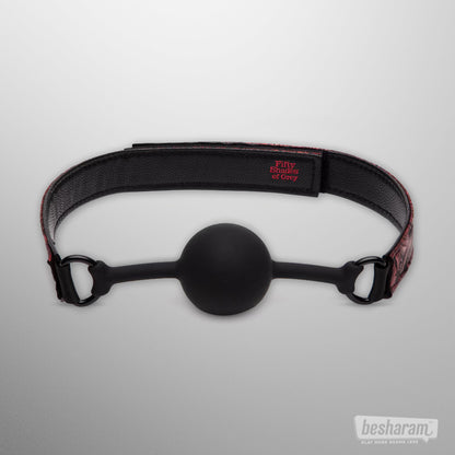 Fifty Shades of Grey Ball Gag