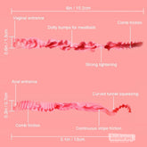 Internal tunnel texture diagram showing structure and stimulation zones