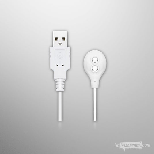 Lovense Charging Cable Magnetic-IMbesharam.com