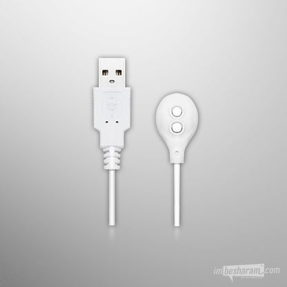 Lovense Charging Cable Magnetic-IMbesharam.com