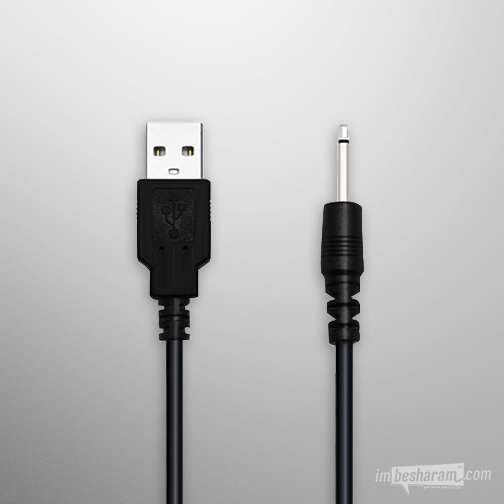 Lovense Charging Cable-IMbesharam.com