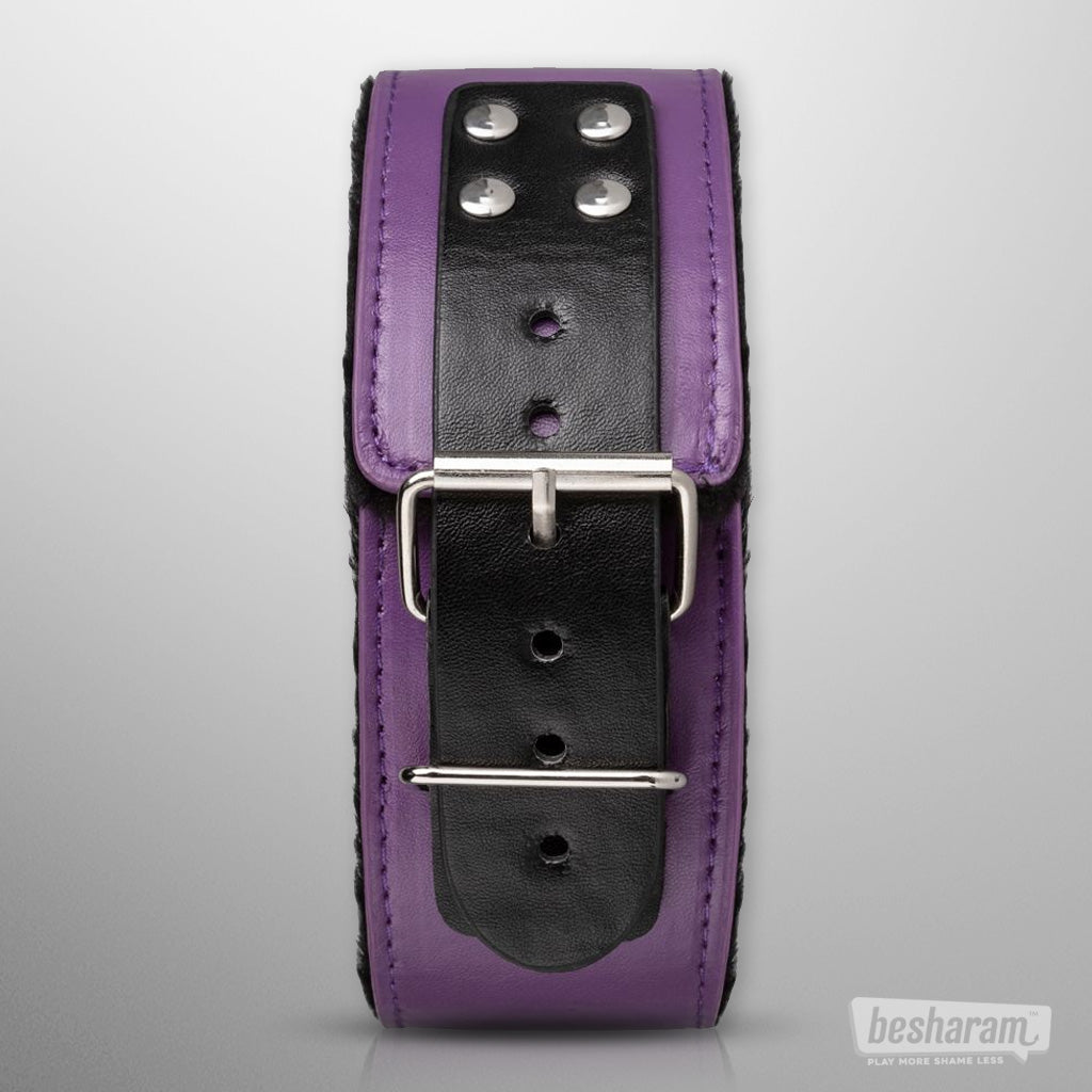 Secret Pleasure Chest Purple Apprentice BDSM Set Collar