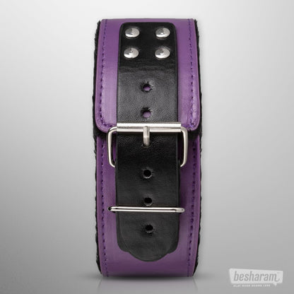 Secret Pleasure Chest Purple Apprentice BDSM Set Collar