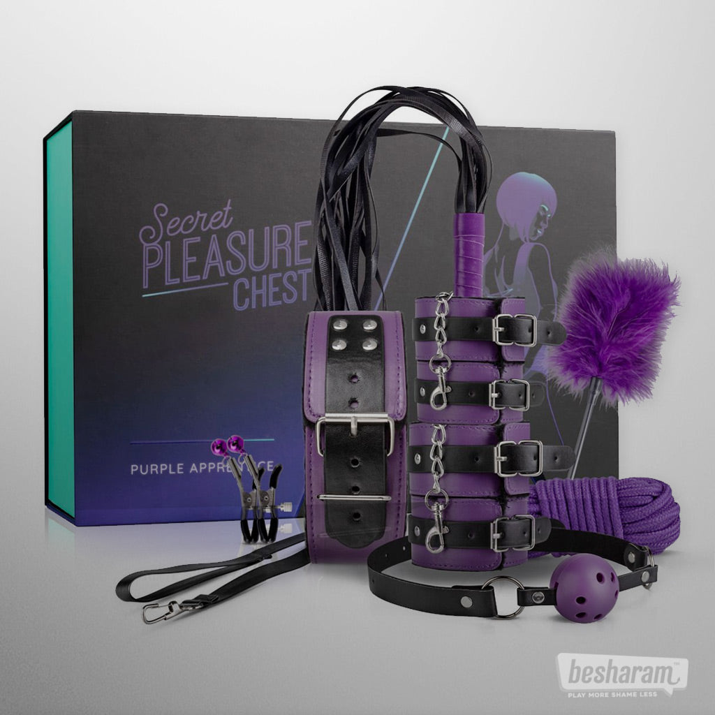 Secret Pleasure Chest Purple Apprentice BDSM Set Unboxed